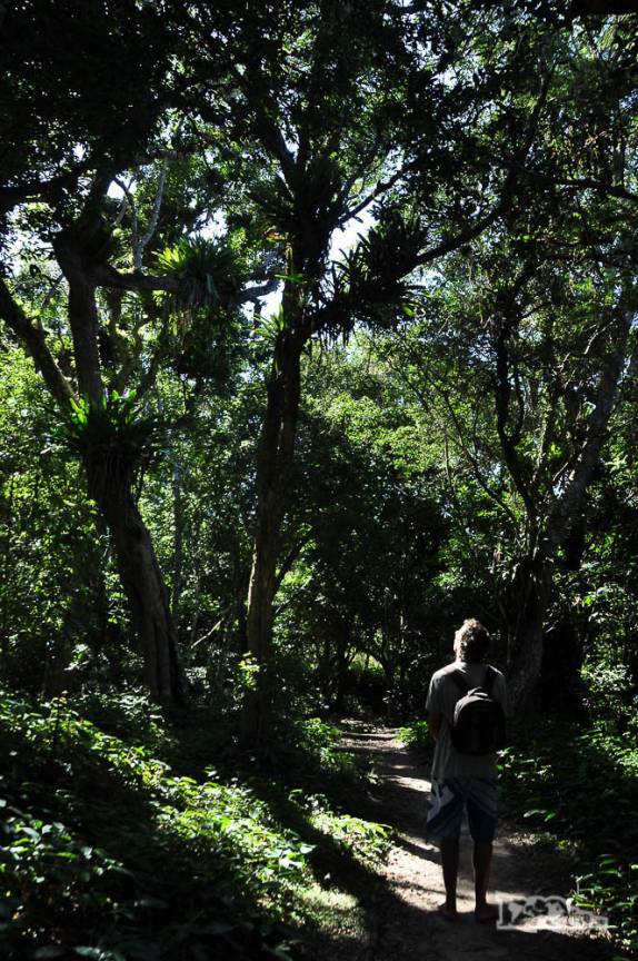 Trilha da Sepultura, em Bombinhas, litoral de Santa Catarina